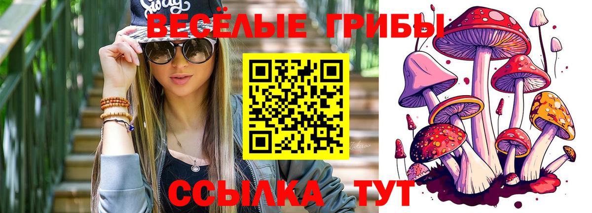 Асбест  Псилоцибиновые грибы GOLDEN TEACHER  где купить наркотик  Псилоцибиновые грибы ЛСД  Вход с VPN 